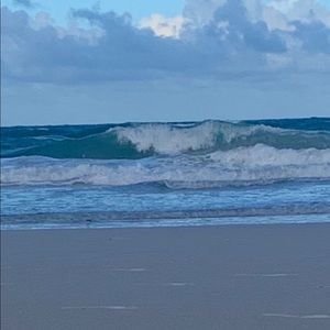 Meet your Posher, Misty